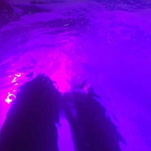 在厨房趴着掀起裙子H
